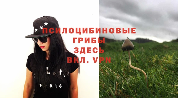 дмт Алексеевка