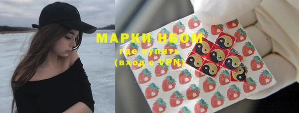 шишки Пересвет