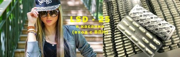 шишки Пересвет