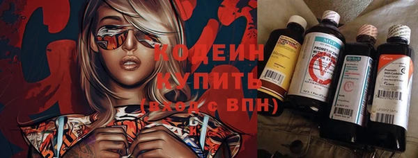 шишки Пересвет
